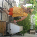 img_3877_2625492692_o.jpg